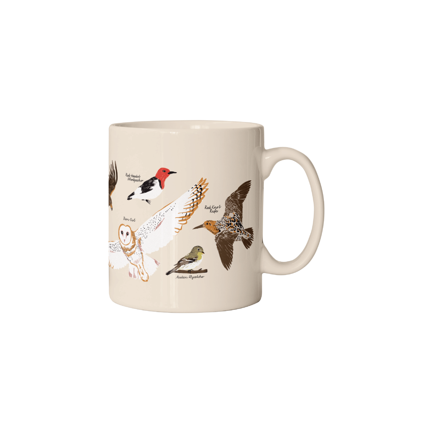 Save the Birds Ceramic Mug
