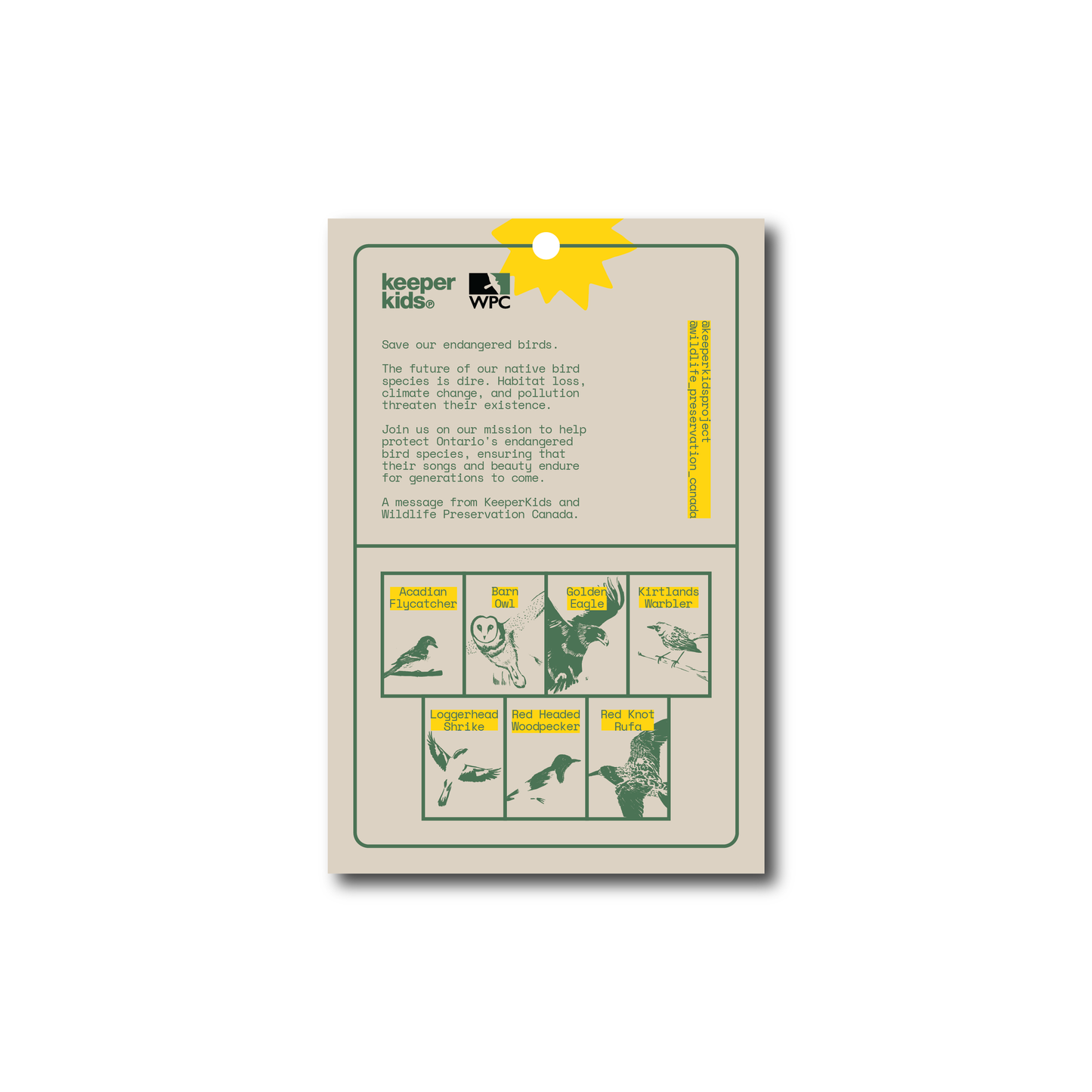 Save the Birds Sticker Sheet
